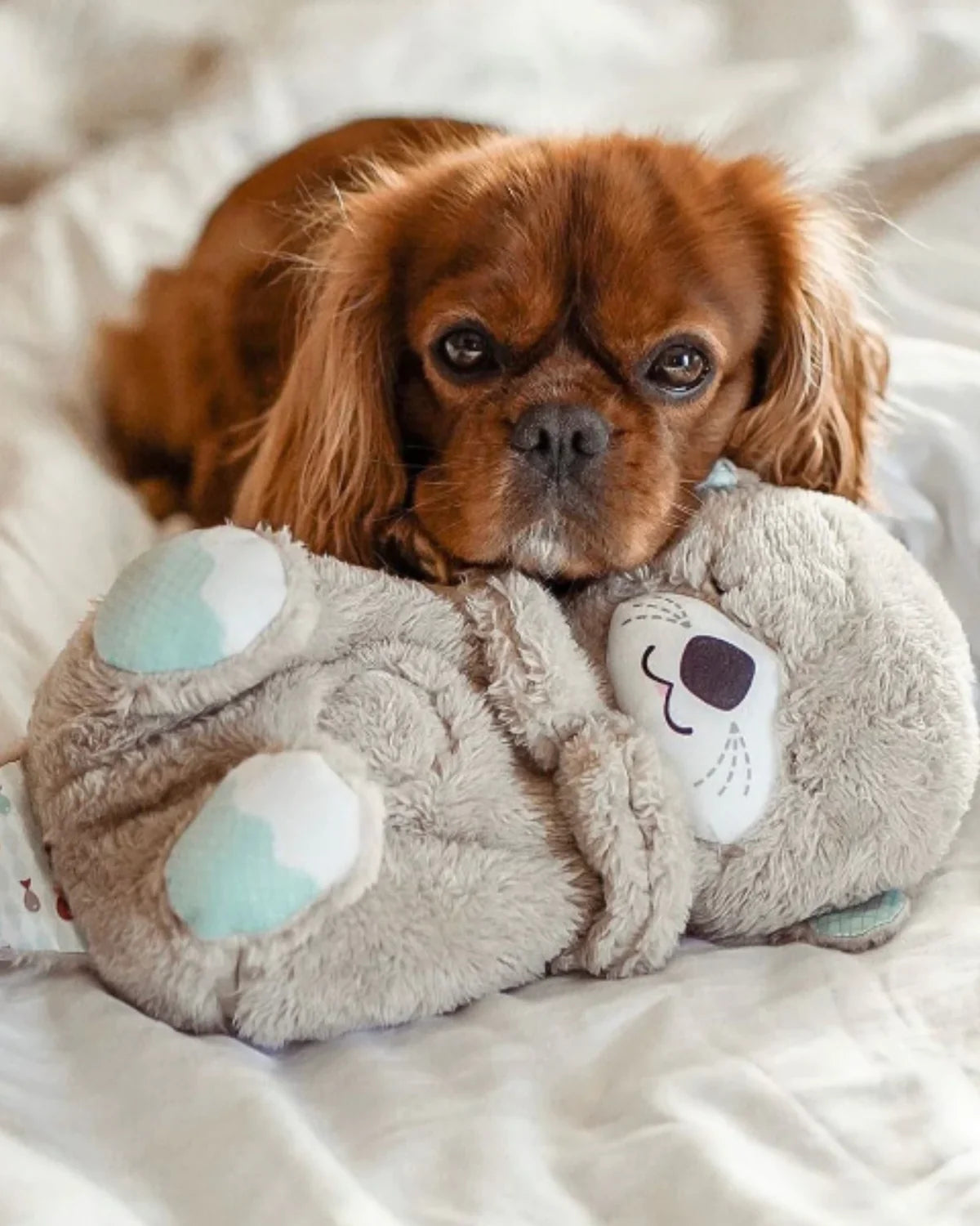 CalmCuddle Otter